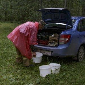 Минсельхоз хочет взять под контроль сбор россиянами грибов и ягод