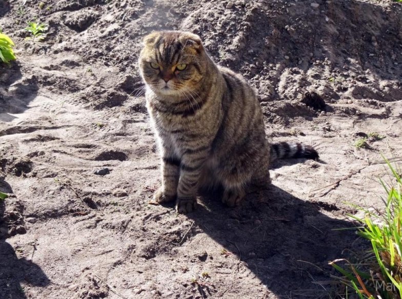 Марийский Дзюба из женской исправительной колонии отправился на ПМЖ в Москву