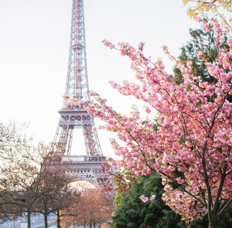 закупка дял экспорта