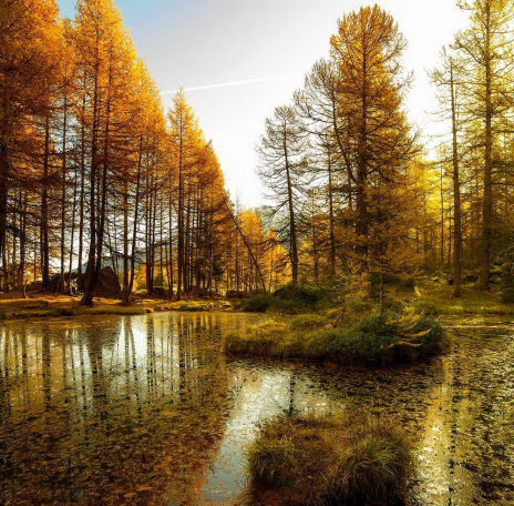 А б в г д е ё ж з и й к л м н о п р с т у ф х ц ч ъ ы ь э ю я А б в г д е ё ж з и й к л м н о п р с т у ф х ц ч ъ ы ь э ю я А б в г д е ё ж з и й к л м н о п р с т у ф х ц ч ъ ы ь э ю я А б в г д е ё ж з и й к л м н о п р с т у ф х ц ч ъ ы ь э ю я А б в г д е ё ж з и й к л м н о п р с т у ф х ц ч ъ ы ь э ю я А б в г д е ё ж з и й к л м н о п р с т у ф х ц ч ъ ы ь э ю я А б в г д е ё ж з и й к л м н о п р с т у ф х ц ч ъ ы ь э ю я А б в г д е ё ж з и й к л м н о п р с т у ф х ц ч ъ ы ь э ю я А б в г д е ё ж з и й к л м н о п р с т у ф х ц ч ъ ы ь э ю я